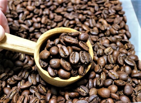 【Ethiopia SidamoG1 TADE GG】と【Colombia SUP 天空】の試飲