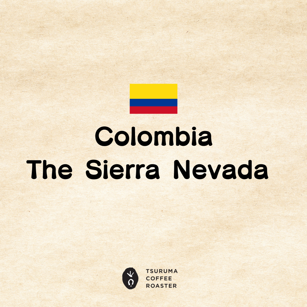 　新製品！　Colombia　The Sierra Nevada