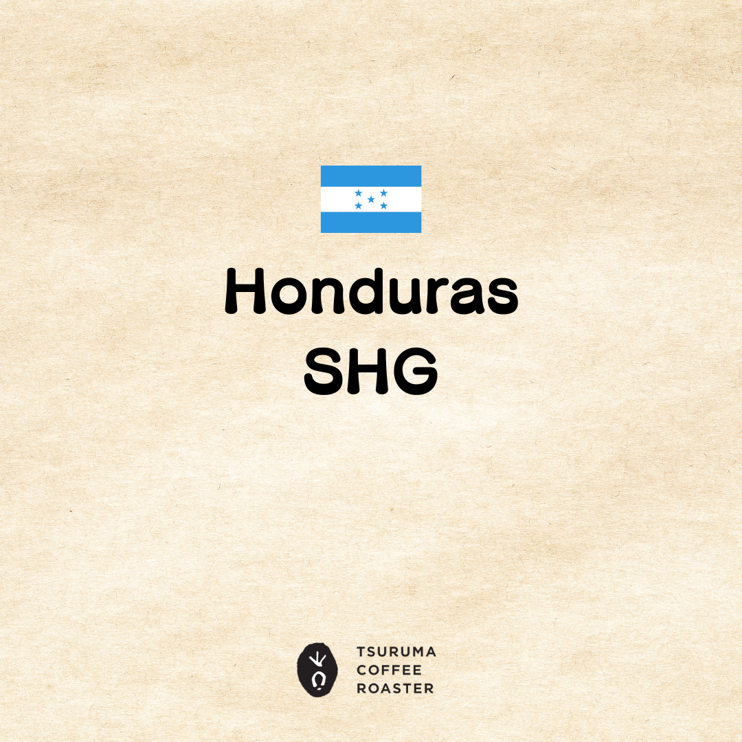 　新製品！　Honduras　SHG　販売開始です。