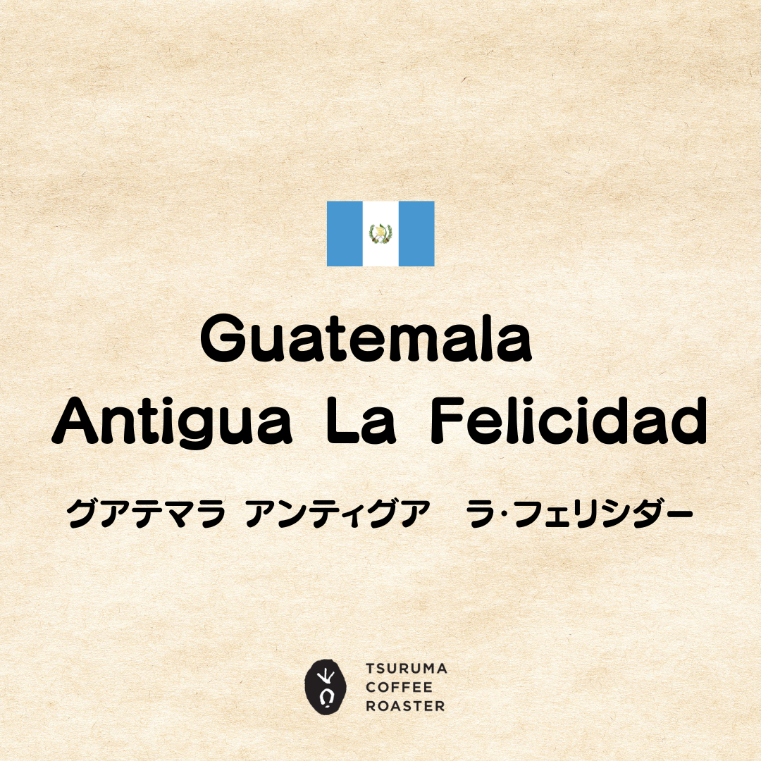 新製品情報❣️