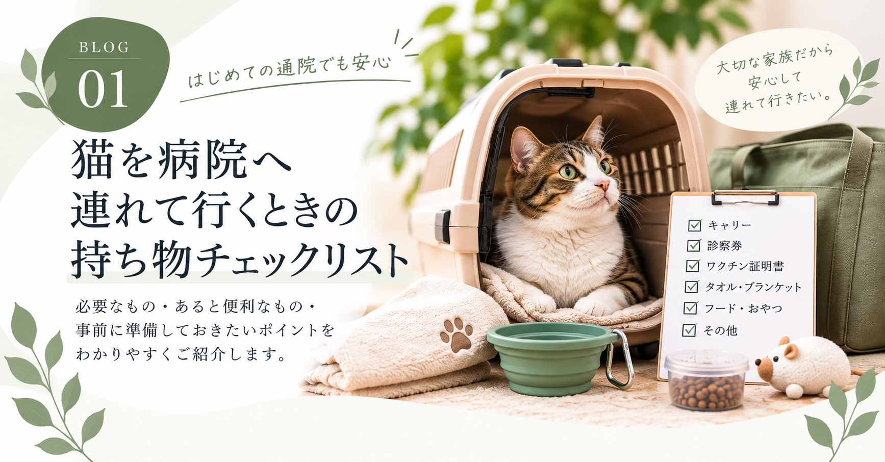 猫を病院へ連れて行くときの持ち物チェックリスト｜初めての通院でも慌てないための準備