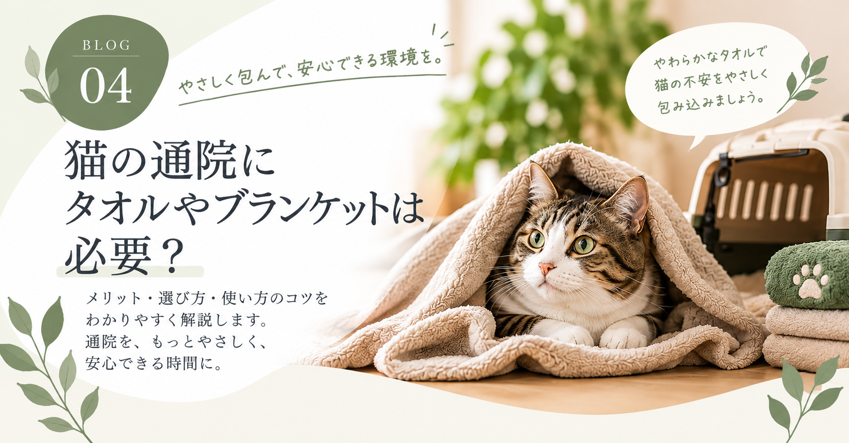 猫の通院にタオルやブランケットは必要？持って行くときに知っておきたいこと