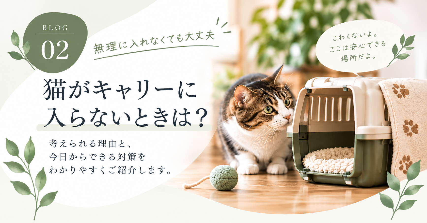猫がキャリーに入らないときは？病院へ行く前にできる準備と慣らし方