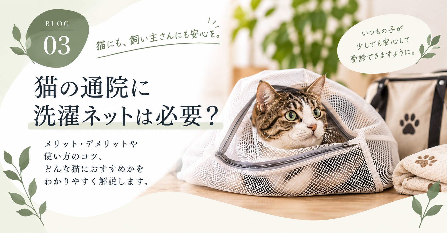 猫の通院に洗濯ネットは必要？使う場合に知っておきたいこと