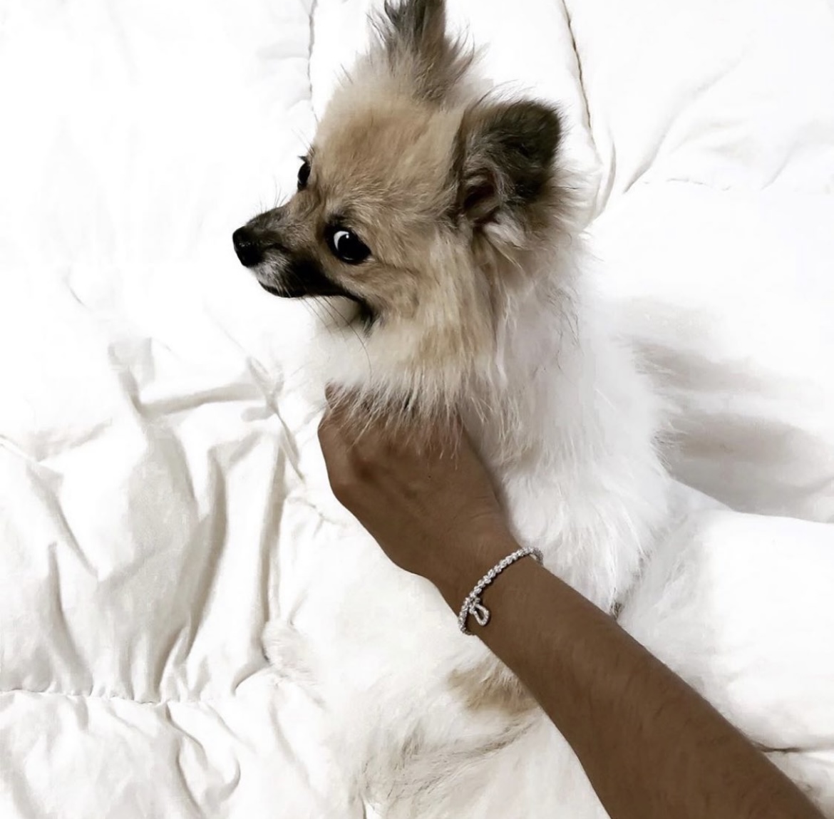 可愛いお犬様との2ショット🐕ありがとうございます😊