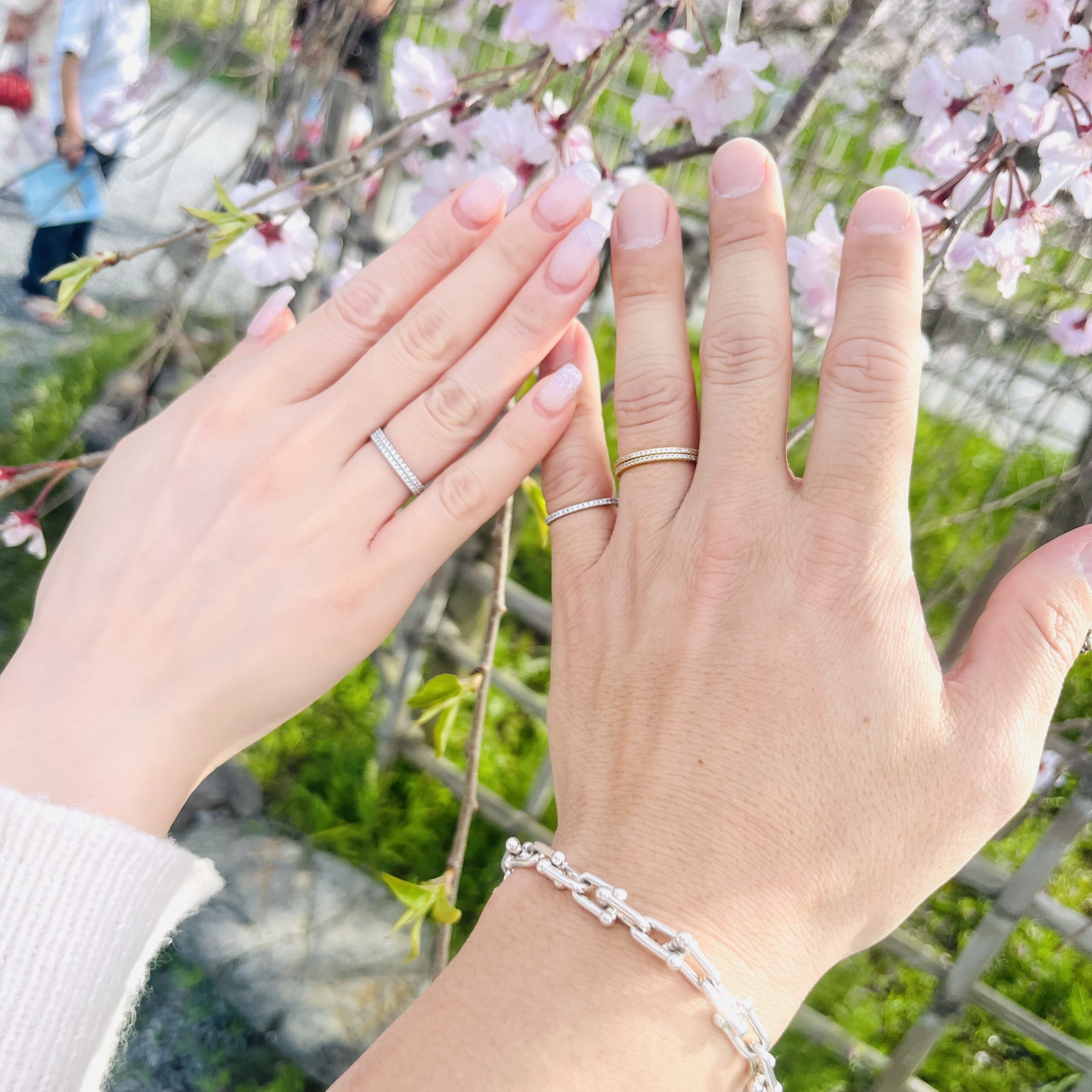 花見でのお写真🌸ありがとうございました🙇‍♂️