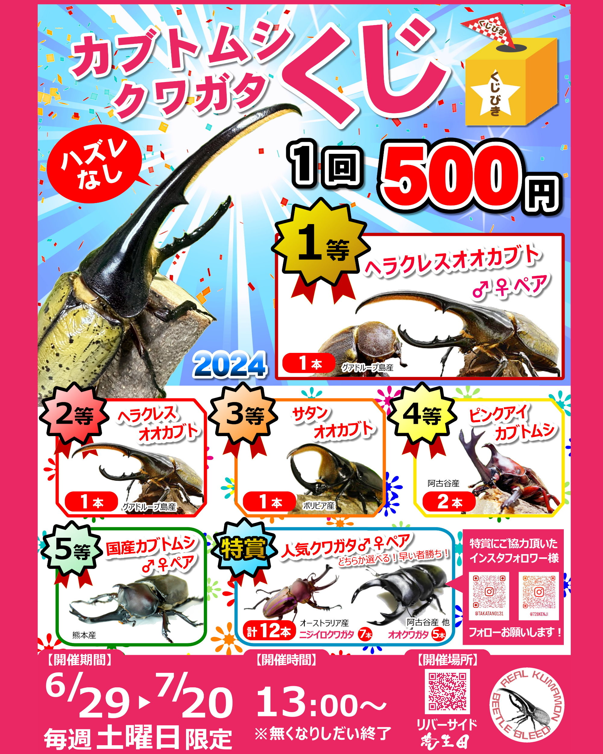 カブトムシ・クワガタくじ引きを開催します‼️