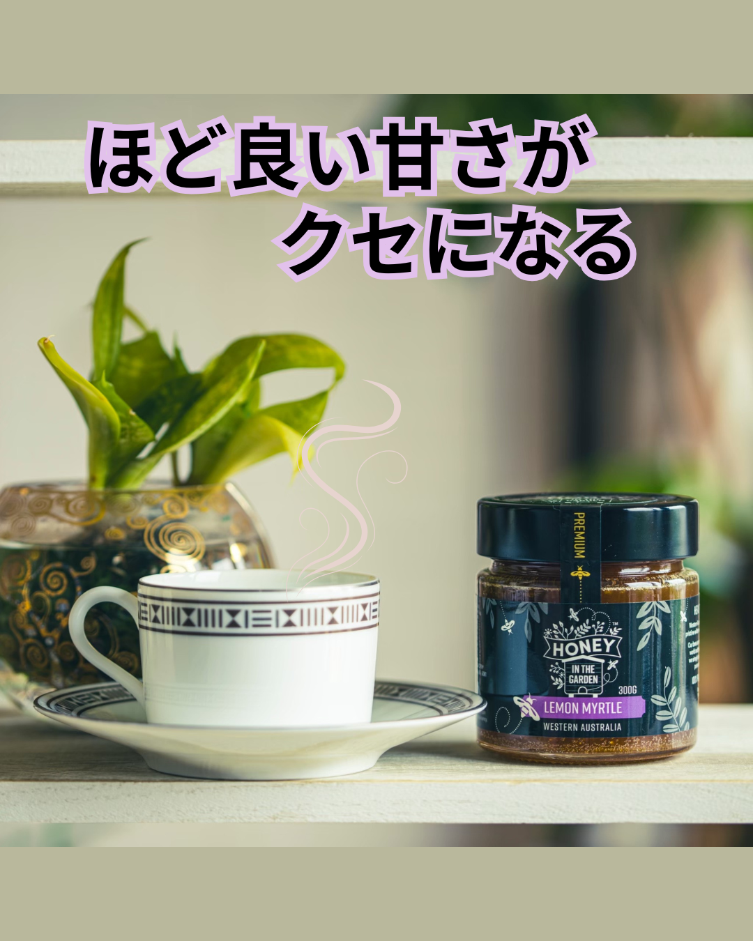 HIG  Lemon Myrtle🍋