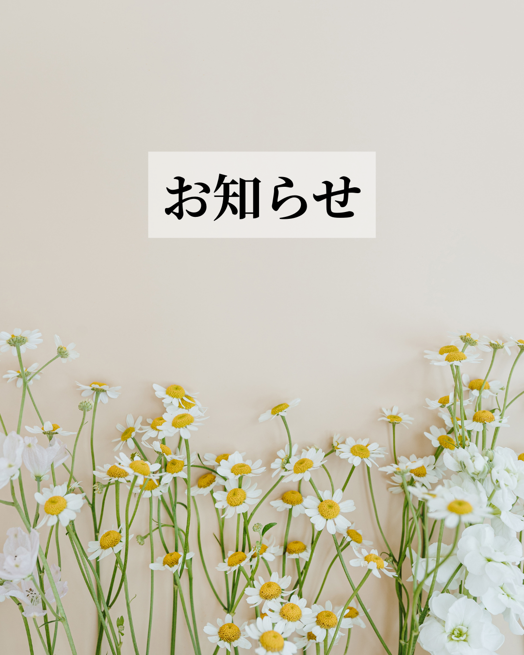 お知らせ🌹