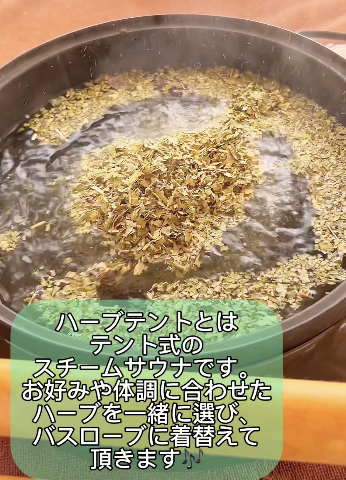 ハーブテント⛺️