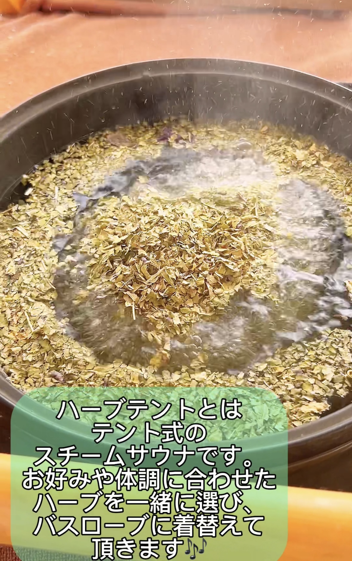 ハーブテント🌿