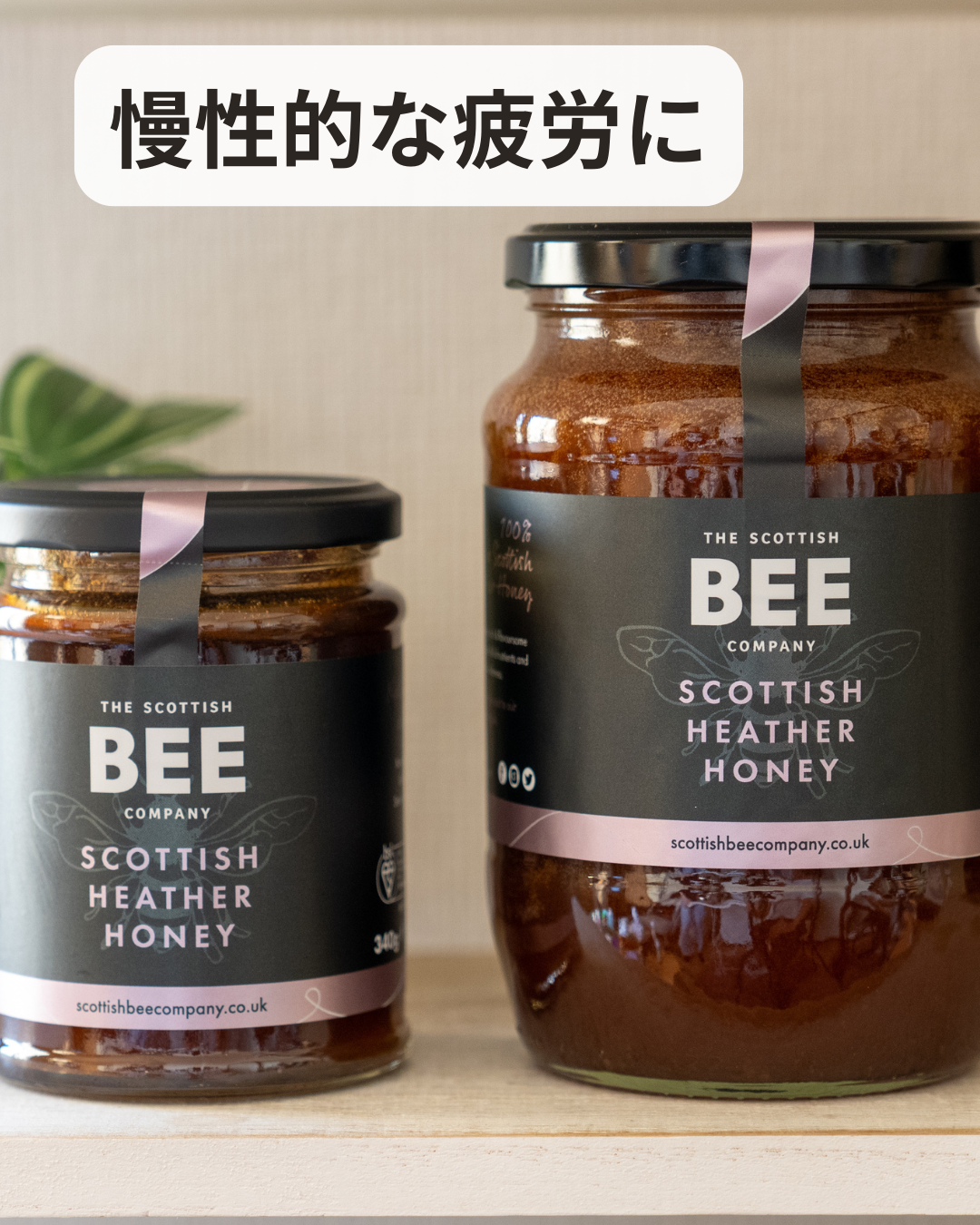まるでナチュラルワインのようなw🍷
