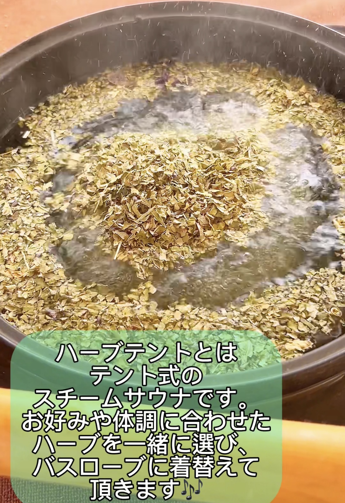 ハーブテント⛺️