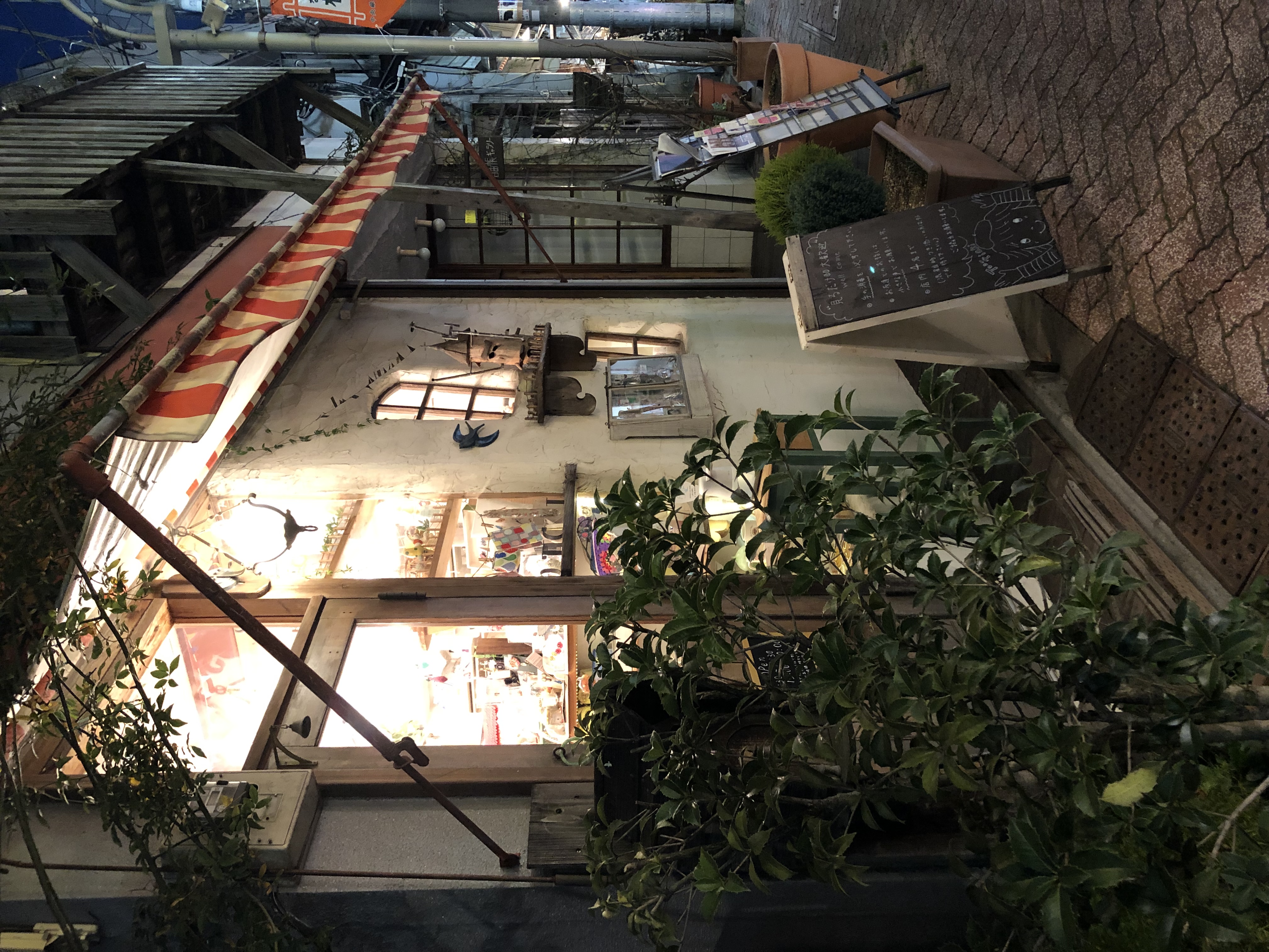 委託販売決定✩.*˚