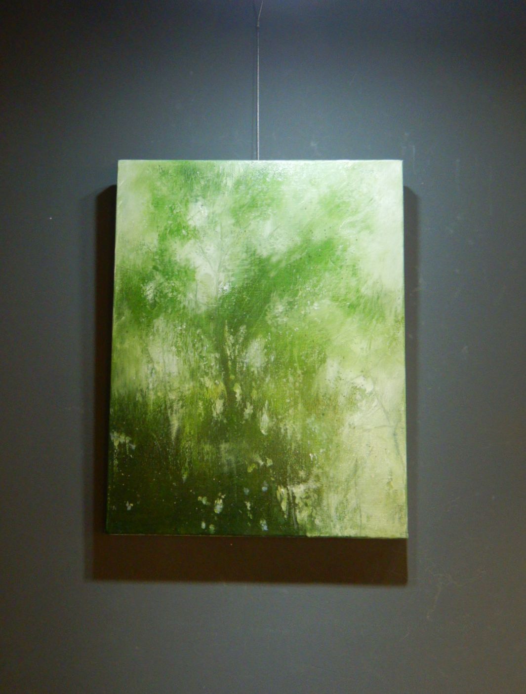 202511・12月の展示「tree,light,breath」