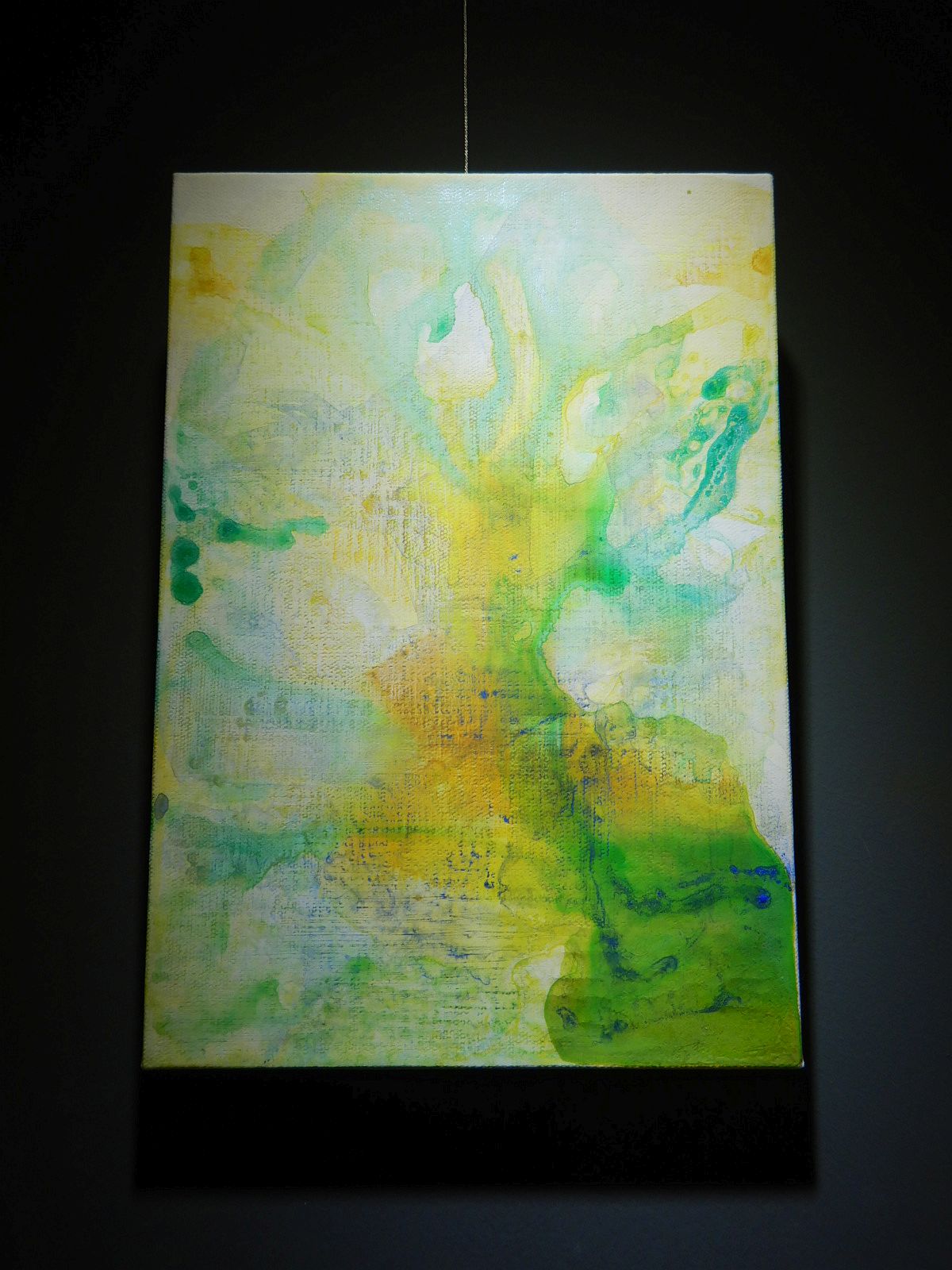 2026 1・2月の展示「spring breeze 」