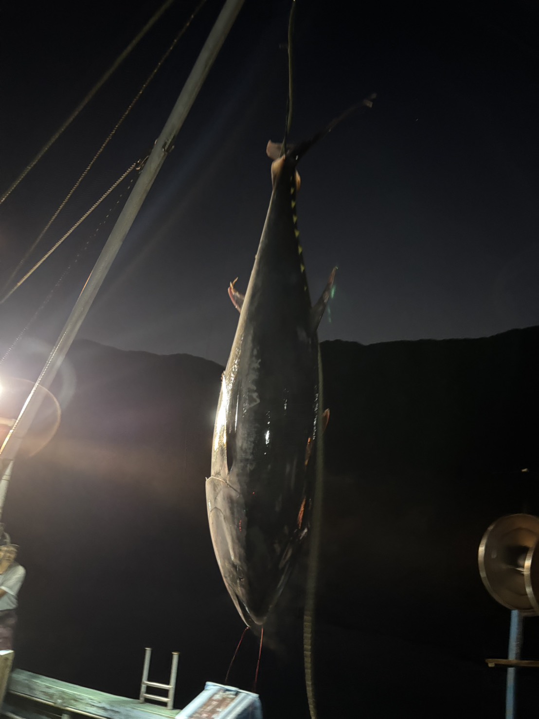 今期の鮮魚の販売を終わります。
