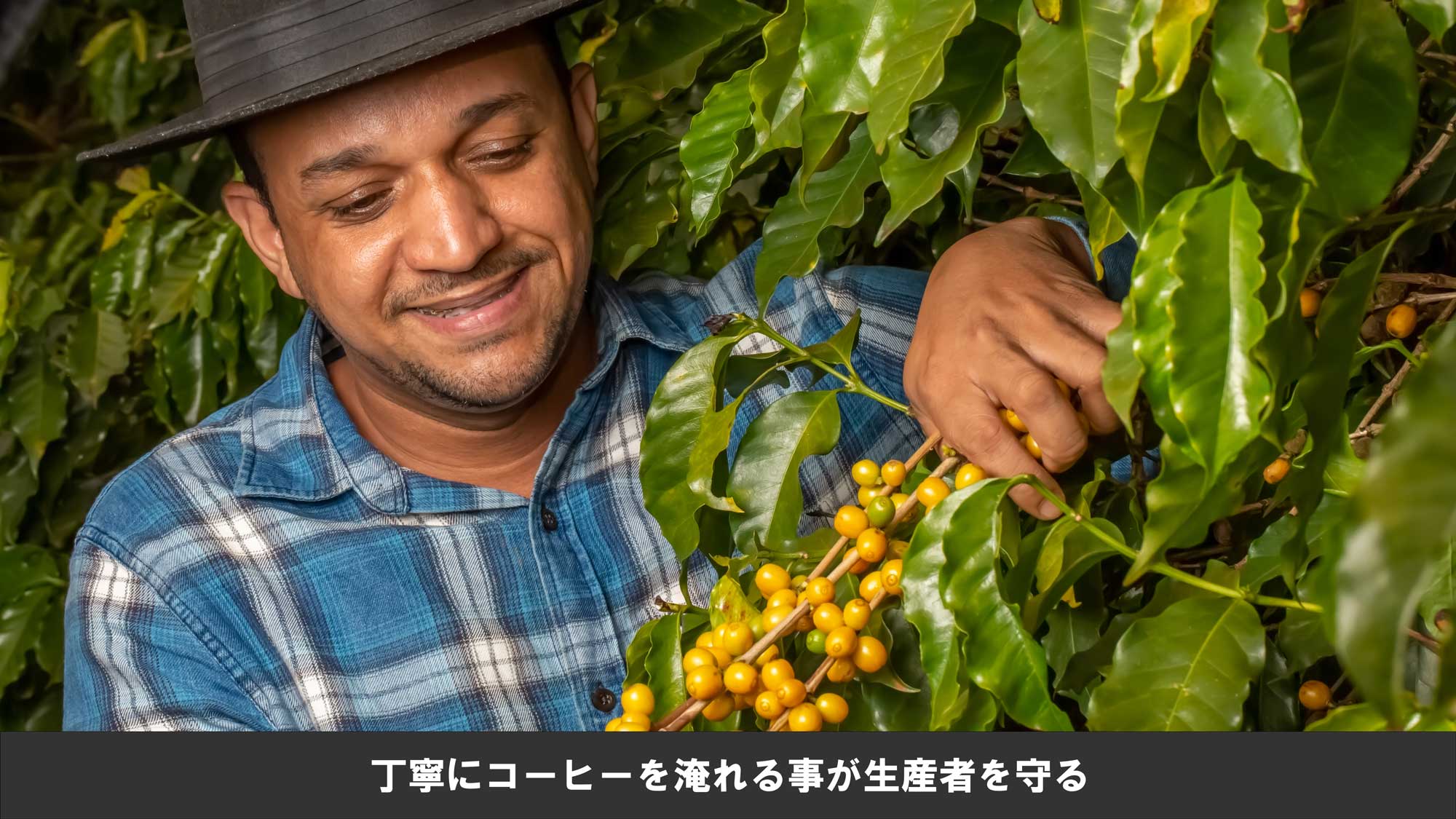 丁寧にコーヒーを淹れる事が生産者を守る