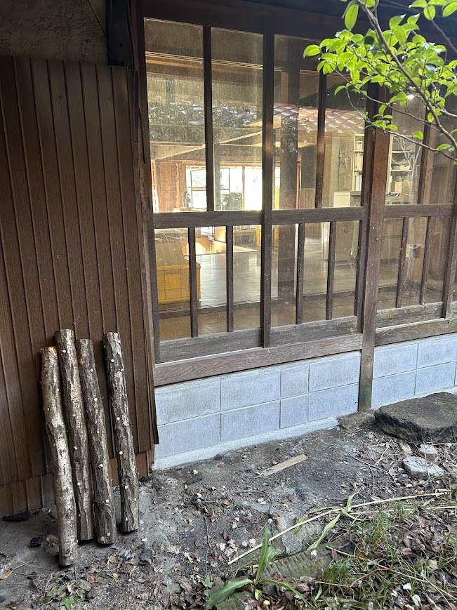 原木しいたけ栽培中