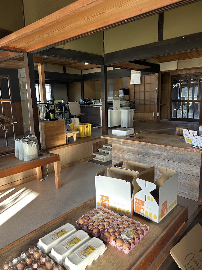 昨日は寒かった