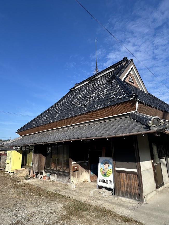 今年も丹波黒枝豆の販売を開始しました