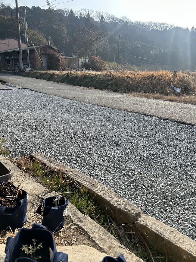 花粉症に効果のあるハーブ