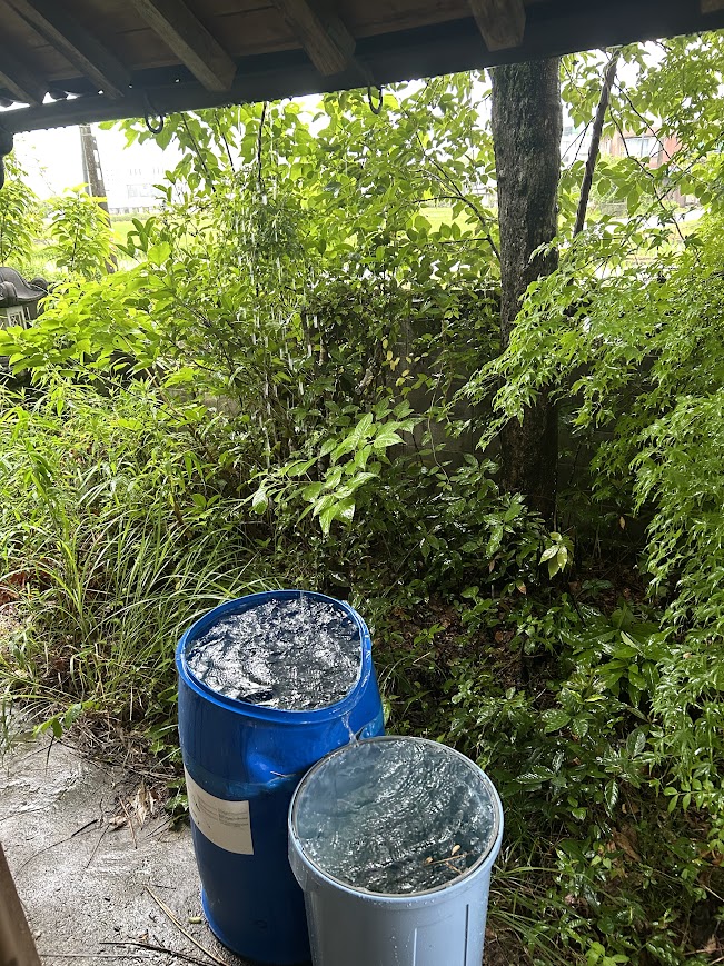 梅雨ですね
