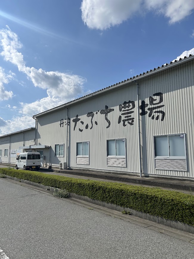 新米入荷しました