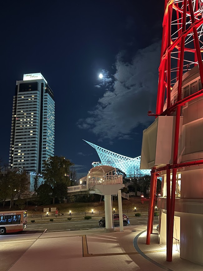 昨日は満月でした