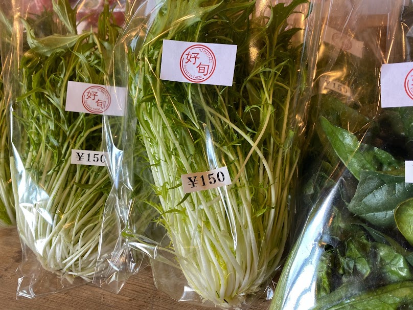 ほうれん草・水菜入荷しました