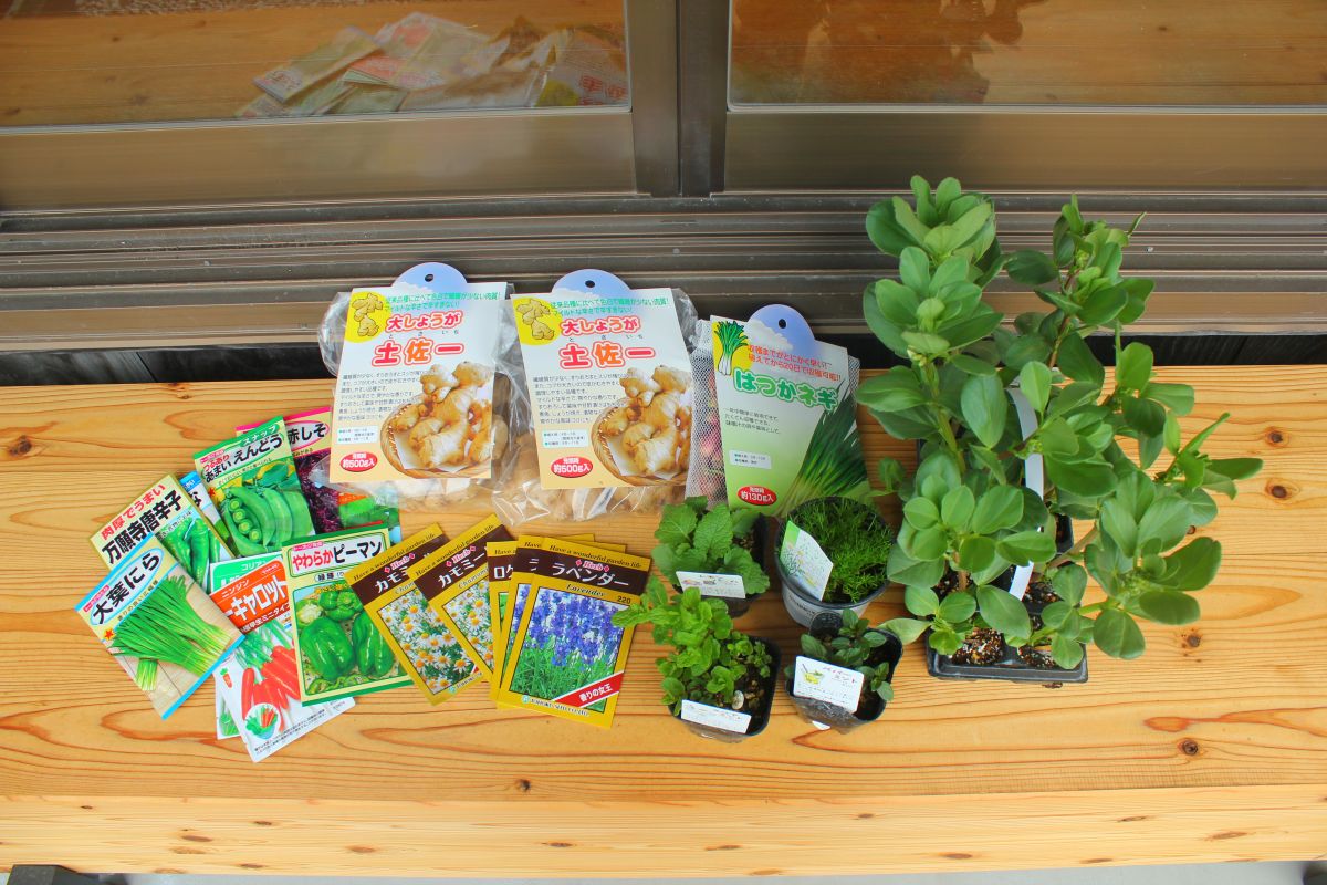 農業に本格的に取り組みます