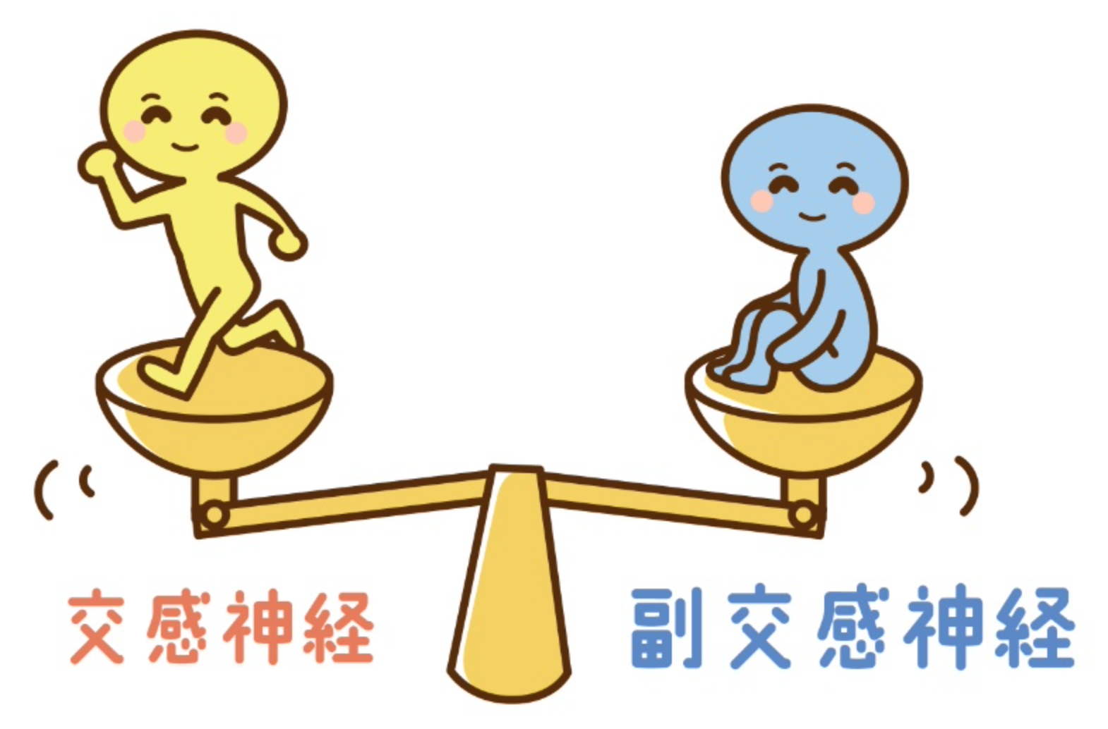 自律神経は時間とリズムで整える!!