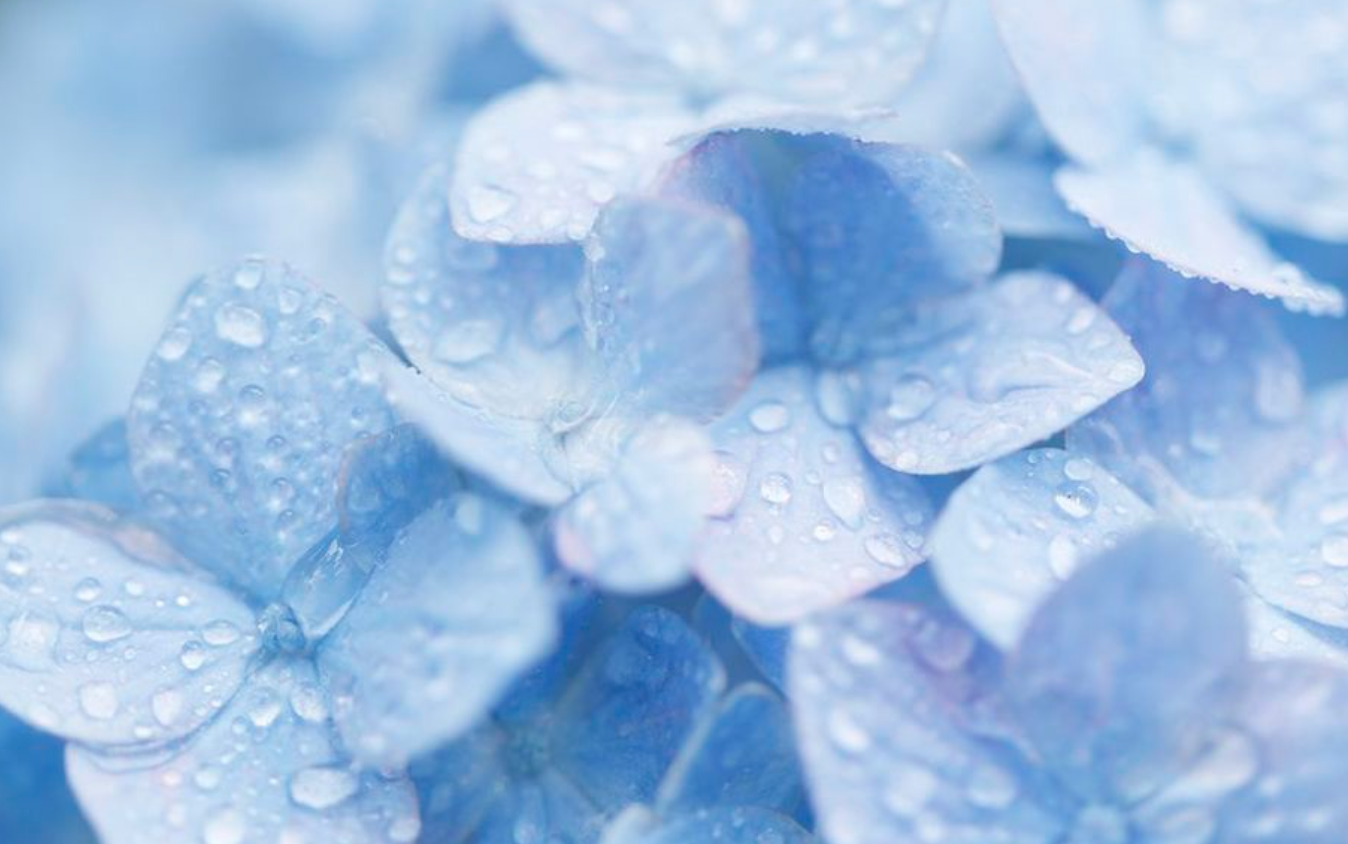 梅雨時期の対策とライフウェーブ!