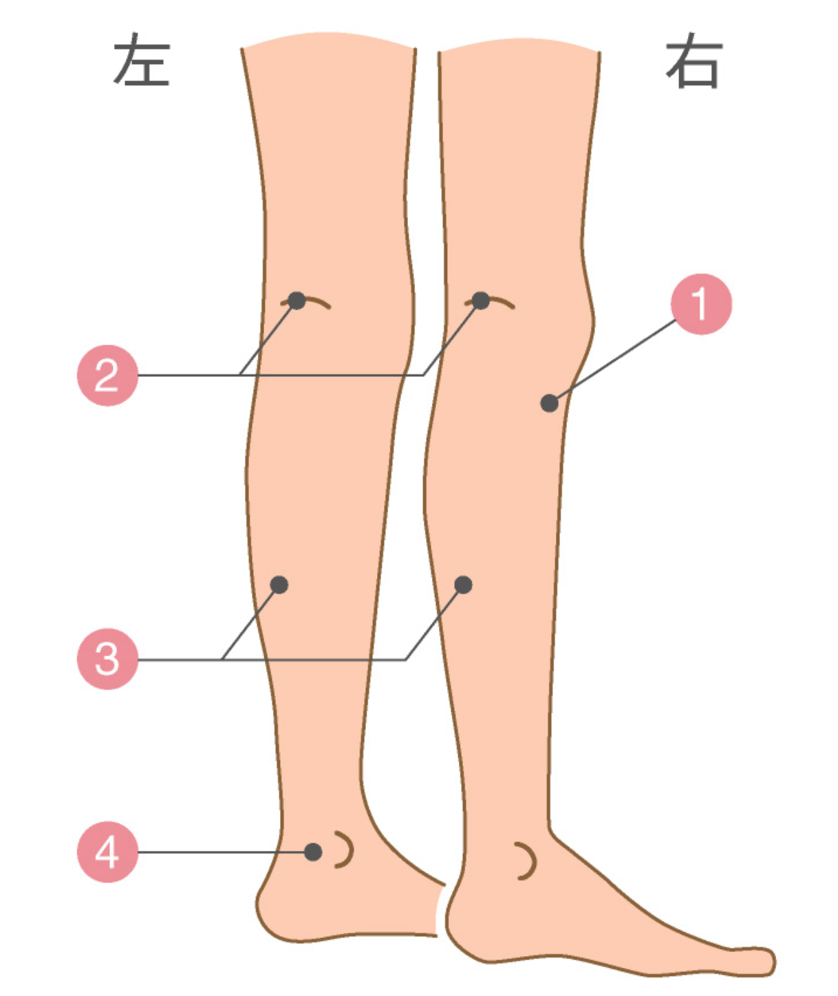 足は意外に臓器多し！