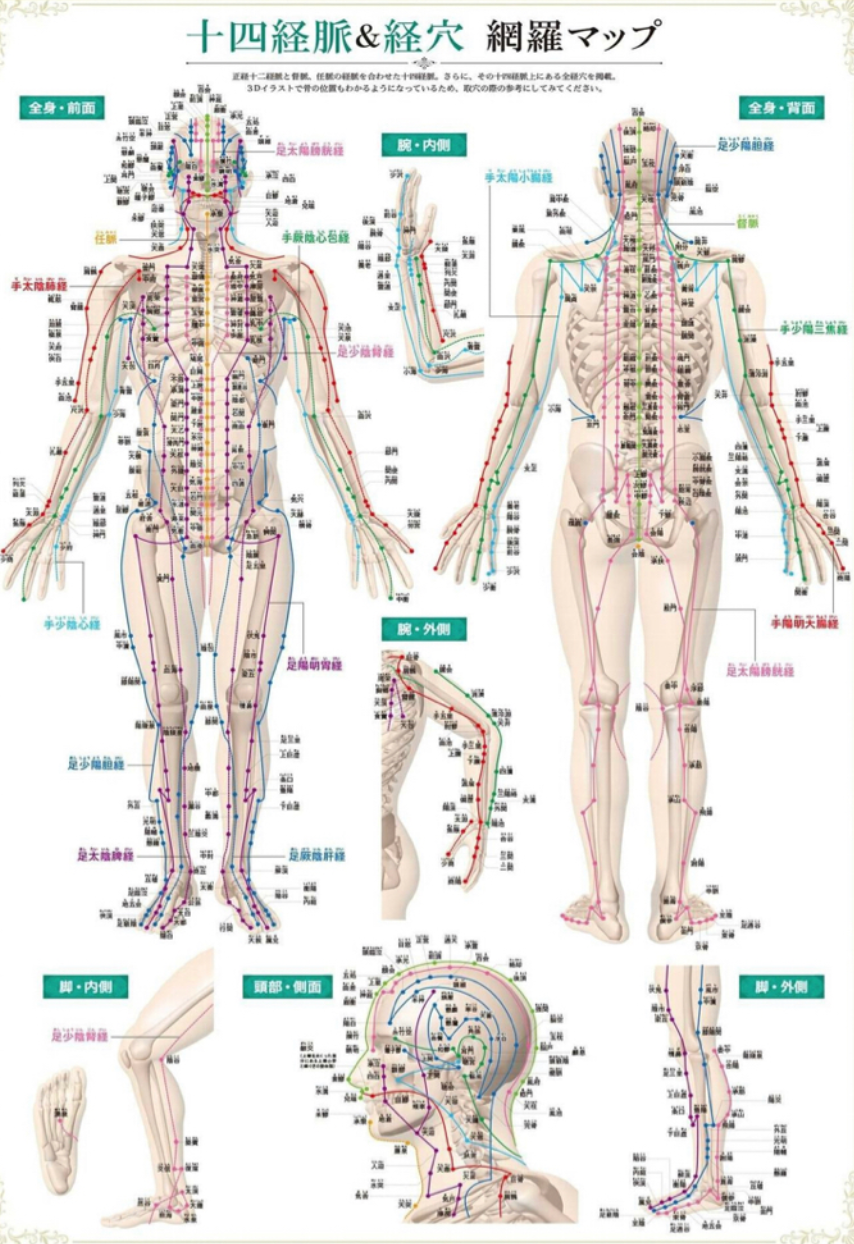 全身のツボの数はなんと！！