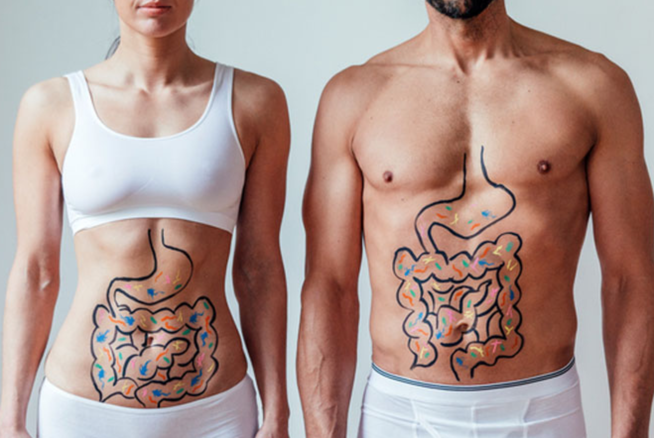 腸と脳と、ライフウェーブと・・・。