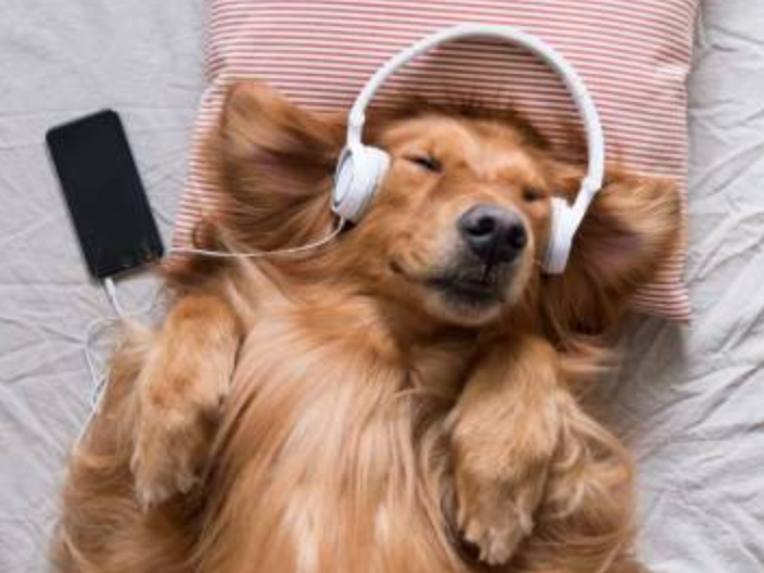 音楽で疲労をとるなら!!