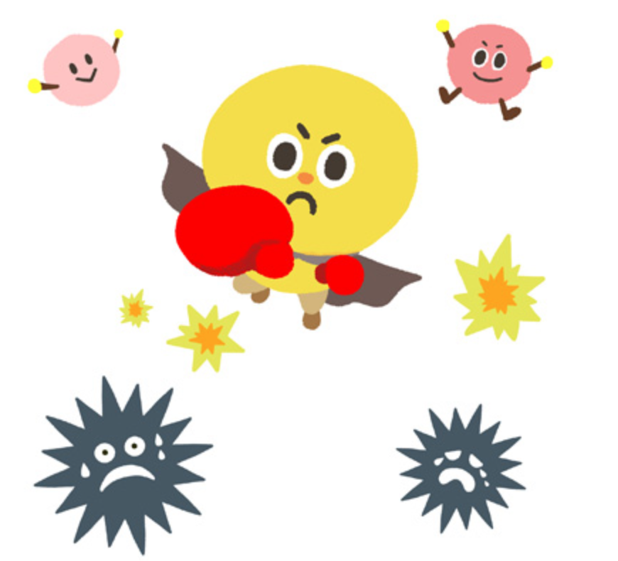 今こそ本気で免疫改善を！