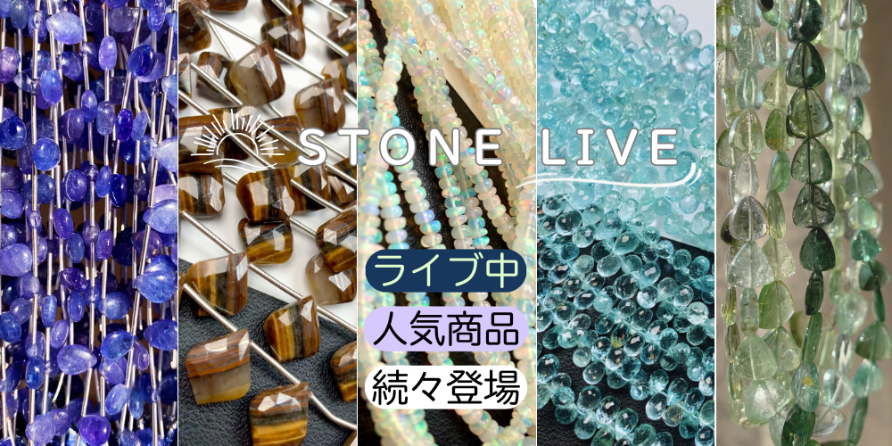 春新商品続々登場🎉ライブ配信中🎉