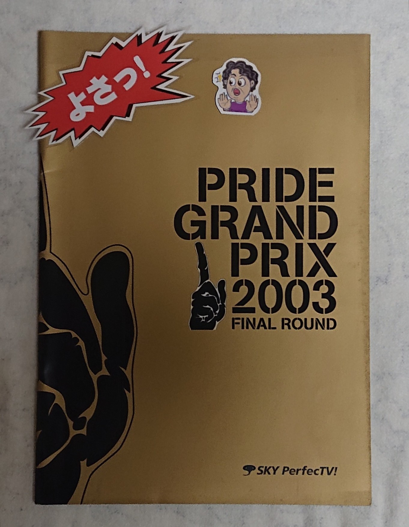 【思い出の総合格闘技パンフレット】