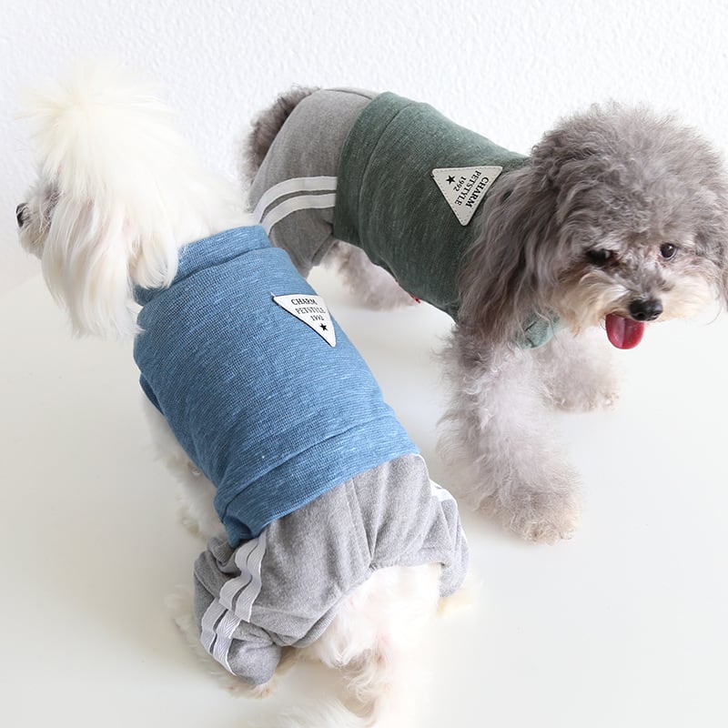 当店おすすめのワンちゃん服　5選！！