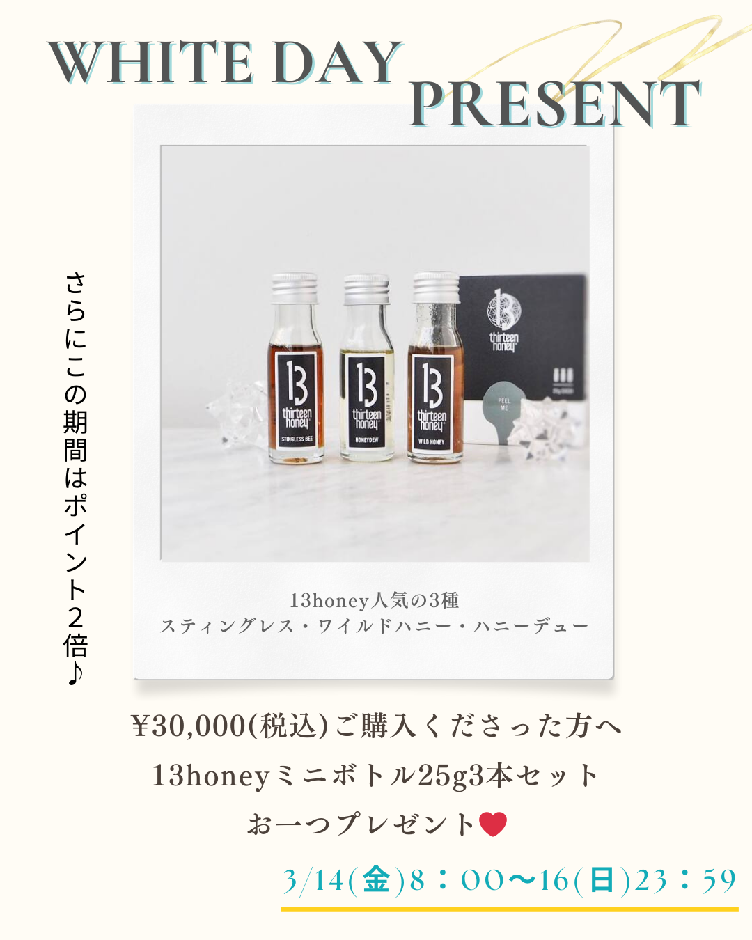 【ホワイトデープレゼント🤍✨＆ポイント2倍企画🎁】