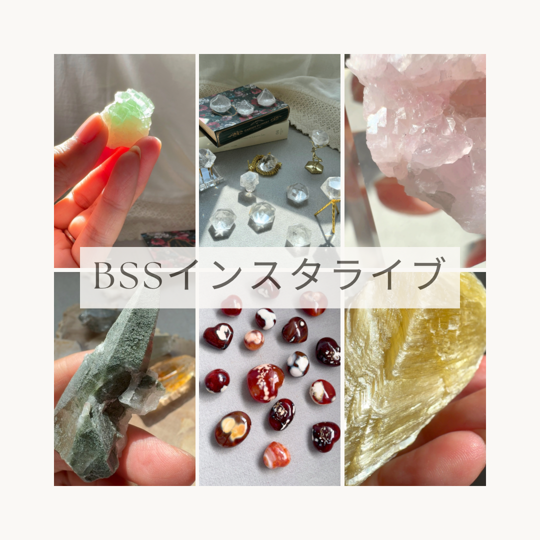 10/20,21 BSSインスタライブご紹介予定