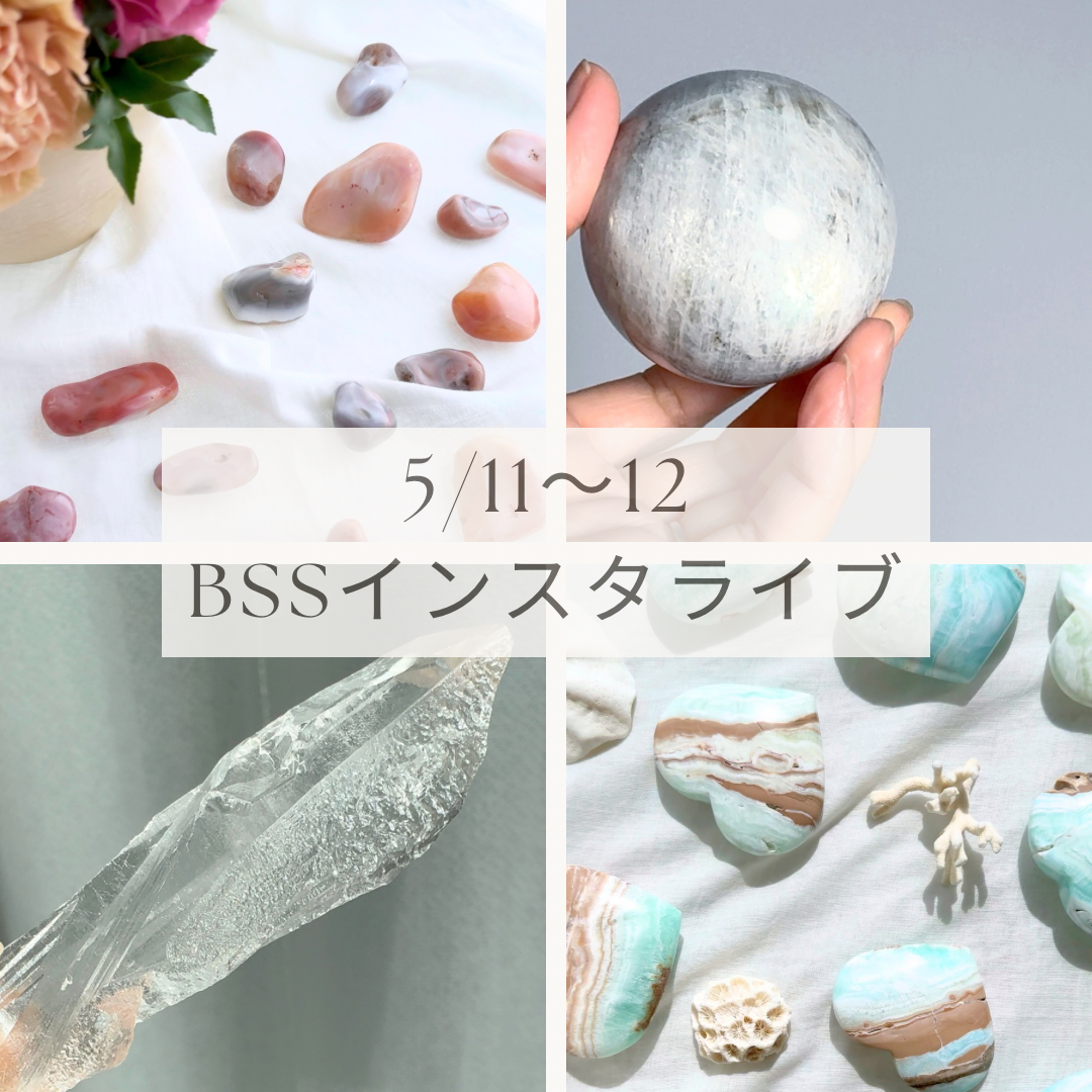 5/11,12は21時からBSSインスタライブ