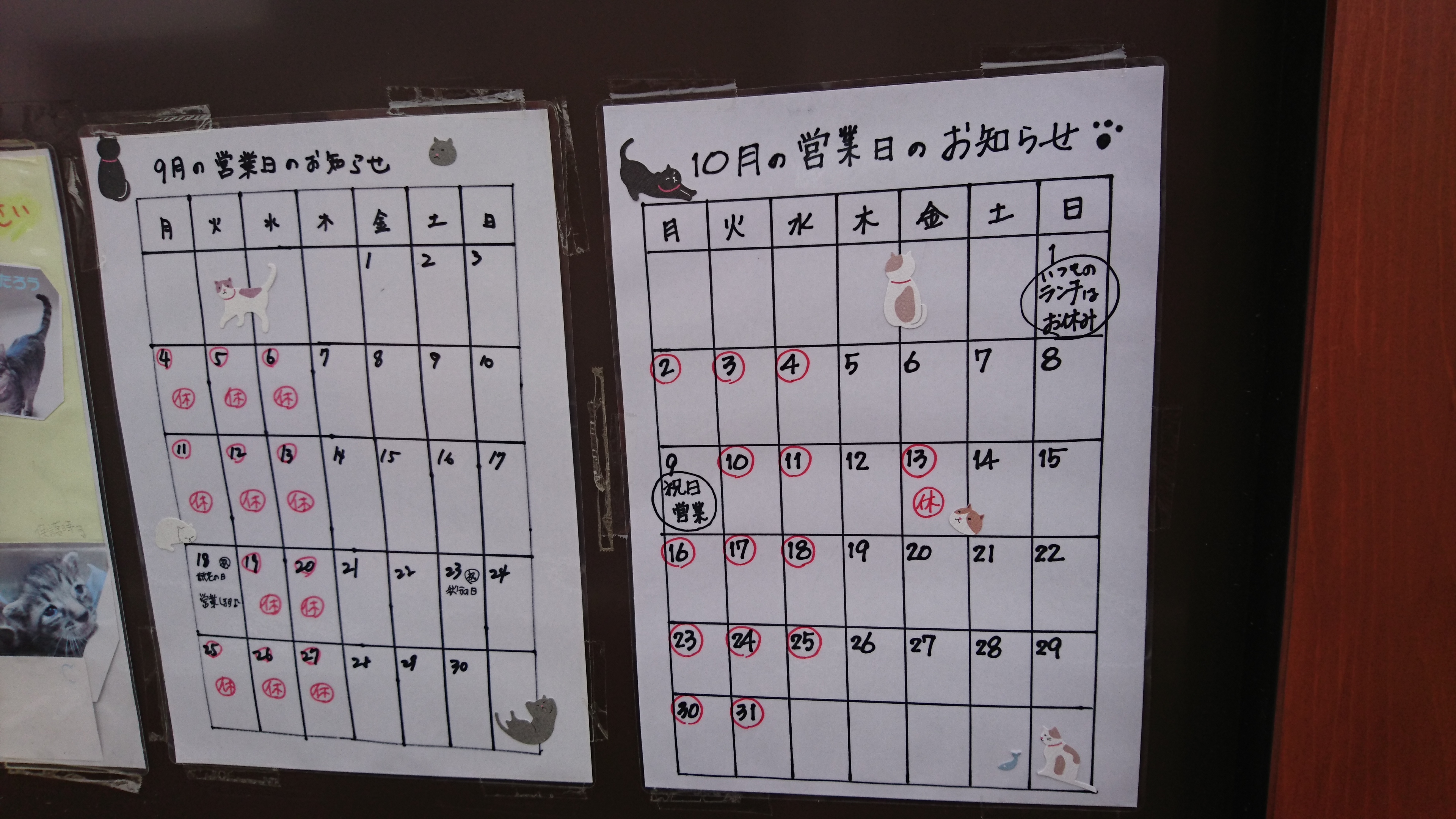 キウイフルーツ入荷しました！