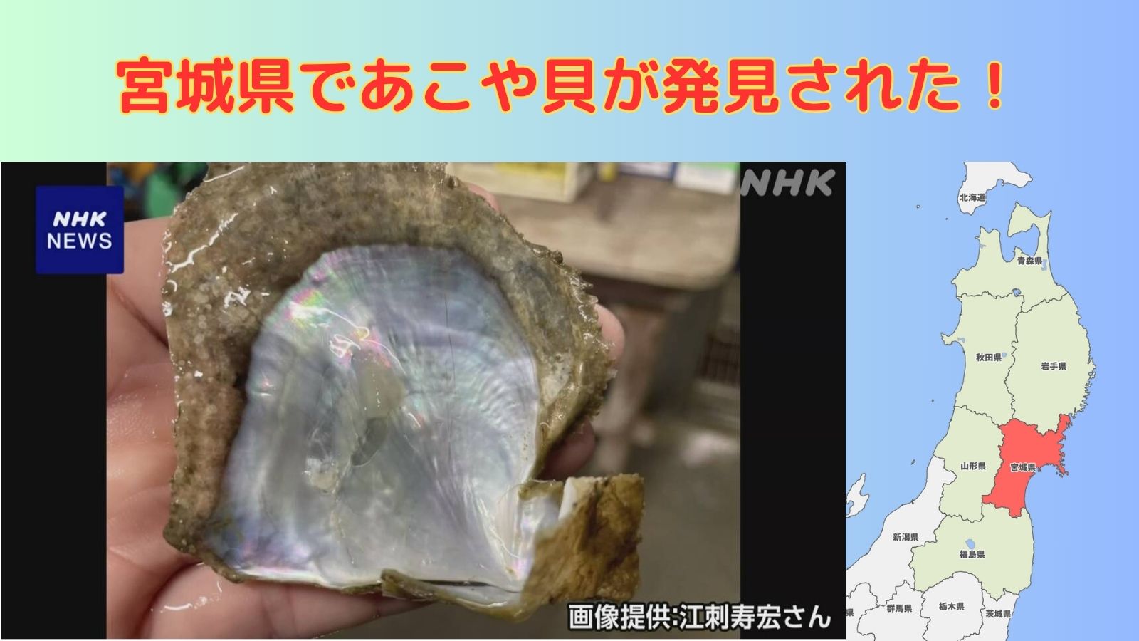 宮城県であこや貝が発見された｜真珠の種類とあこや真珠とは