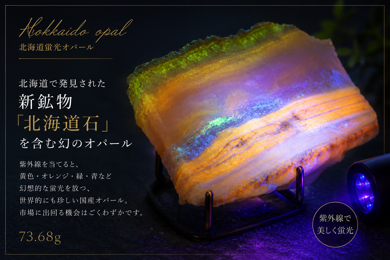 イベントの裏側｜出品者同士で広がる石の知識