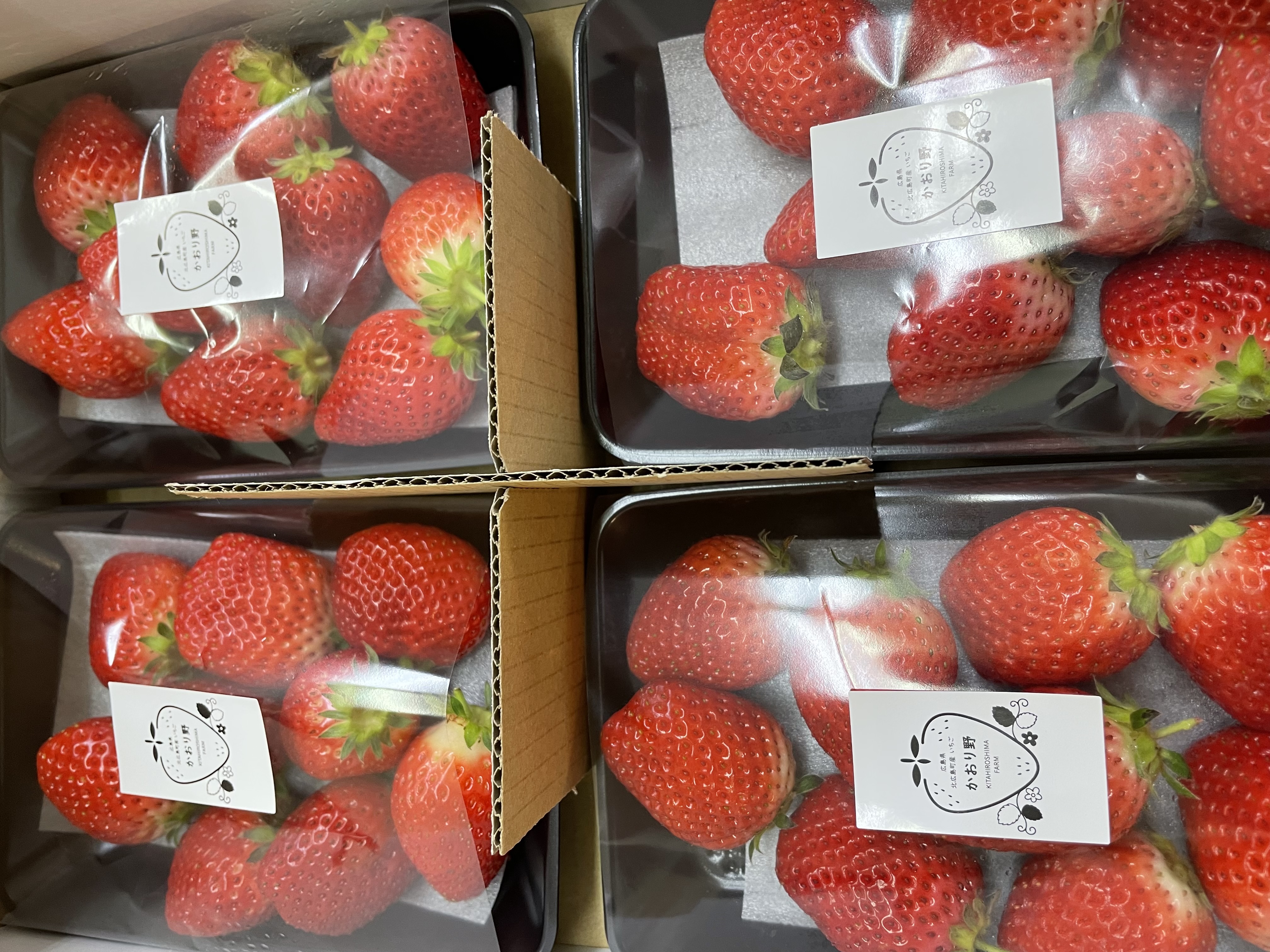 かおり野いちご