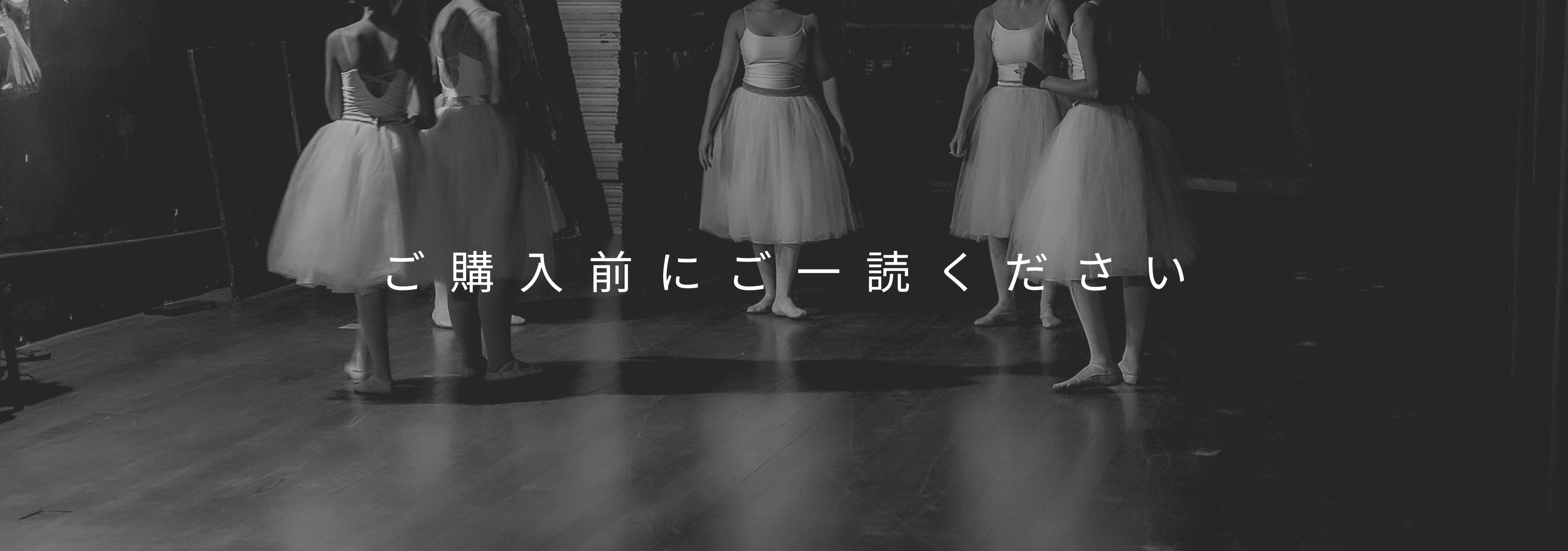 ご購入前にご一読ください