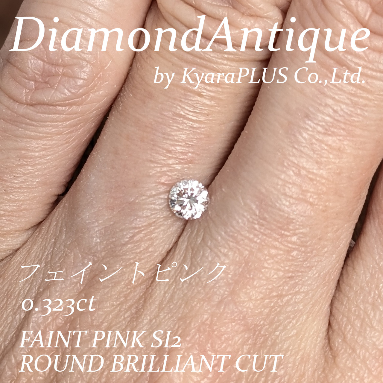 ほんのりと淡くピンクを帯びた、やさしい表情の1ピース